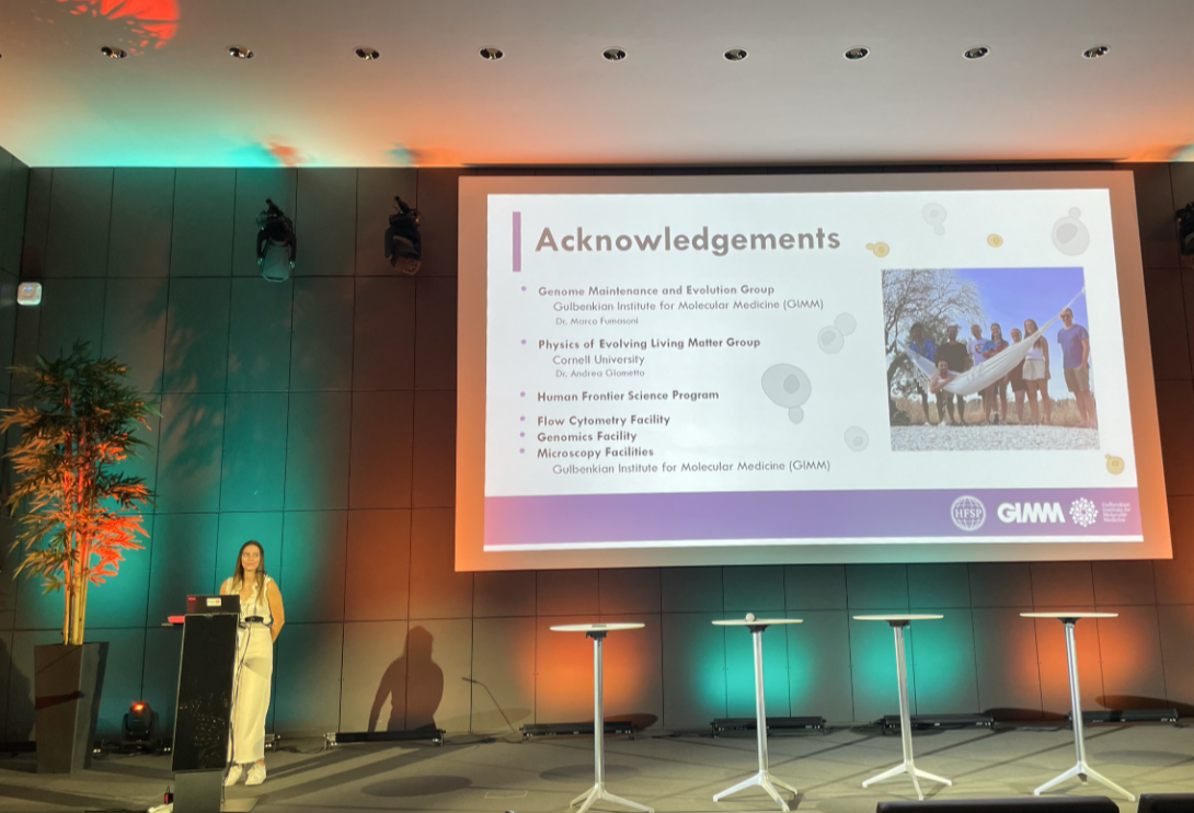 Ana presenting